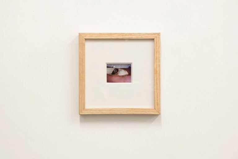 Situations  Mischa Doorenweerd and Thomas Swinkels  2024 Courtesy of ALL, from the exhibition Situations by Mischa Doorenweerd and Thomas Swinkels
