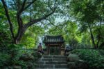 Haedong Gyeonggi Garden, 2023. Foto: Jin Weiqi (Macau University of Science and Technology).