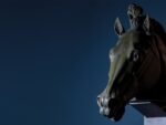 La testa del Cavallo colossale di Antonio Canova