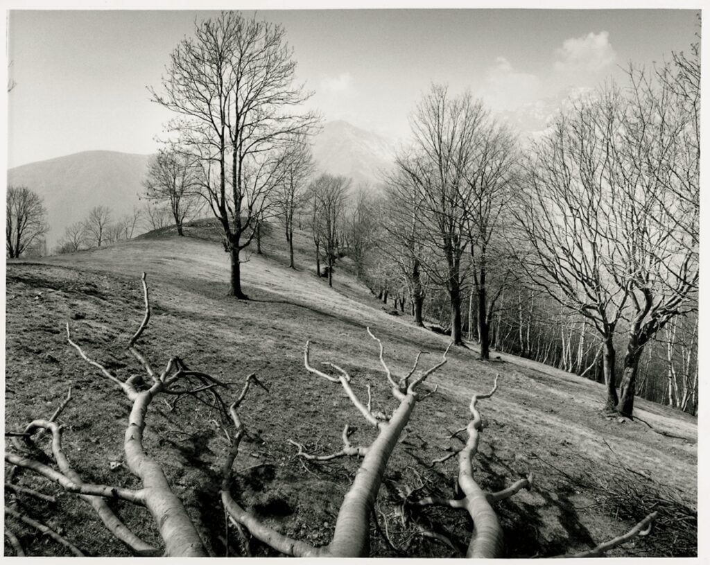 “Oasi”: il capolavoro del fotografo Mimmo Jodice arriva a Trivero a Casa Zegna
