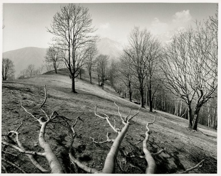 “Oasi”: il capolavoro del fotografo Mimmo Jodice arriva a Trivero a Casa Zegna