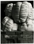 Mimmo Jodice, Oasi Zegna, 2008. Fondazione Ermenegildo Zegna