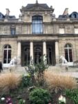 Parigi, Museo Jacquemart-André, Artemiasia, Ph. Dario Bragaglia