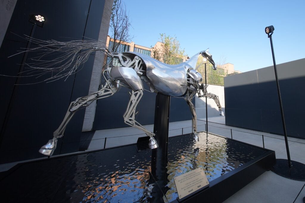 Zeus il cavallo di Parigi 2024
