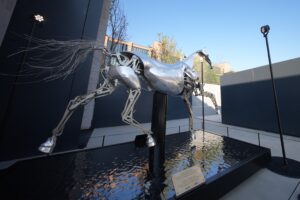 Zeus il cavallo di Parigi 2024