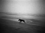 Essere street photographer. Intervista a Federico Arcangeli 