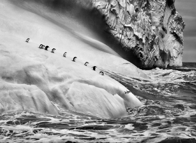 sebastiao salgado dalla serie ghiacciai 1995 2020 fotografia courtesy l artista 1 È morto Sebastião Salgado, il fotografo lirico della verità in bianco e nero