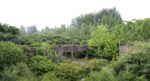 Seonyudo Park Giardino di transizione in estate, 2019. Foto: Yi Donghyup