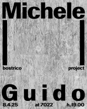 Michele Guido - bostrico project
