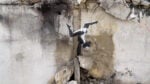 Su Sky Arte l’arte di Banksy e C215 nell’Ucraina in guerra
