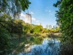 Yeouido Saetgang Ecological Park, 2023. Foto: Jung Jihyun