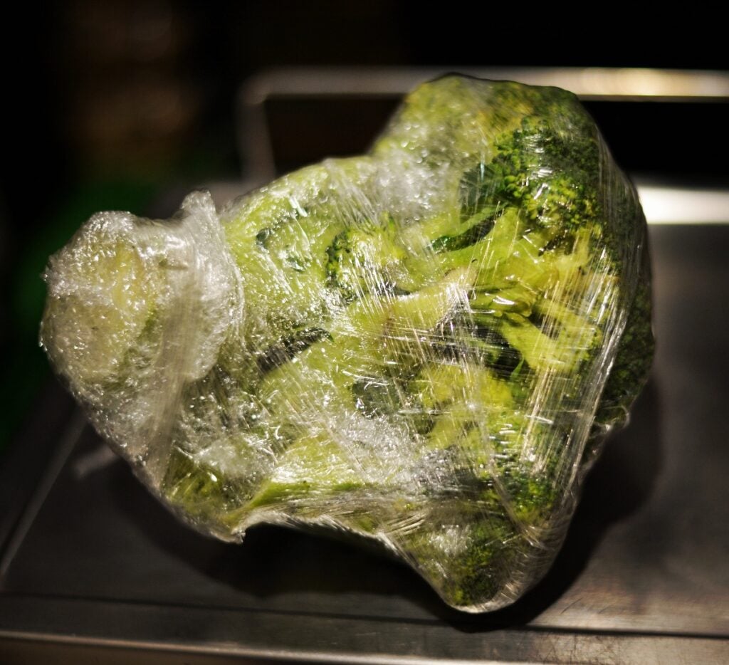 Selene De Condat – De Rerum Plastic Natura