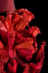 1985fuoco 1 In Veneto  la mostra su Roberto Capucci: il sarto-scultore dell’alta moda tra colore e forma