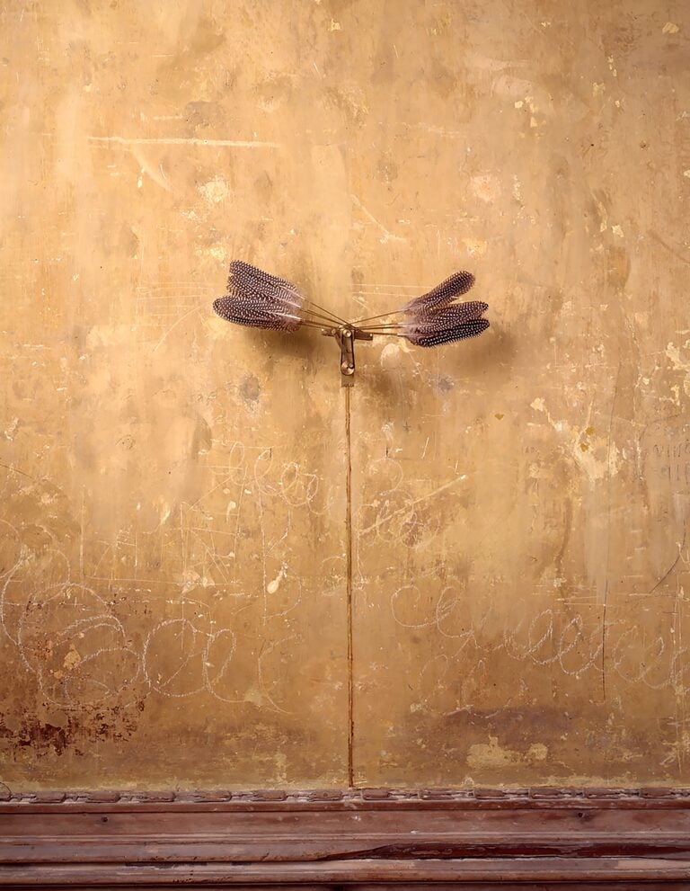 Rebecca Horn, Federflügel (Ali di piuma), 1992, piume, barre di metallo, motore, 45 x 19 x 20 cm Collezione ifa Institut fūr Auslandsbeziehungen e.V. © Paolo Pellion di Persano © REBECCA HORN, by SIAE 2025