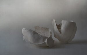 Iris Nesher - The Fault Line