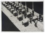 Misure per la lotta contro le mosche: operatori con batterie di carretti con serbatoio e pompa irroratrice, Archivio fotografico, Servizi pubblici, SPQR Lotta contro le mosche, album 6.