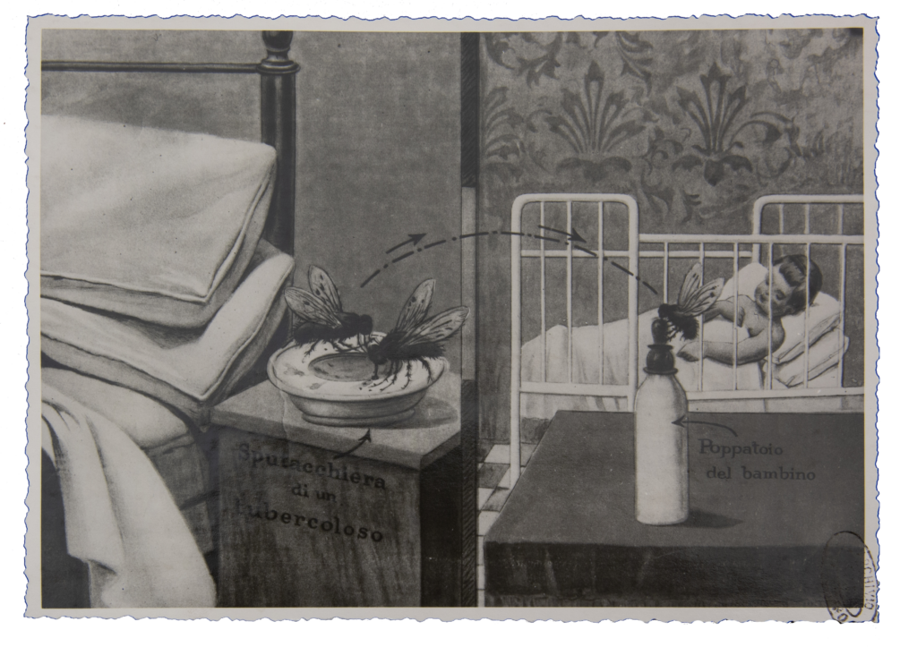 Misure per la lotta contro le mosche: cartello propagandistico rivolto alle famiglie che rappresenta le mosche come veicolo di trasmissione della tubercolosi, Archivio fotografico, Servizi pubblici, SPQR Lotta contro le mosche, album 6