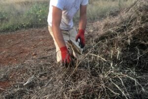 Ground Action - Post Office: A Ground Action Anthology
