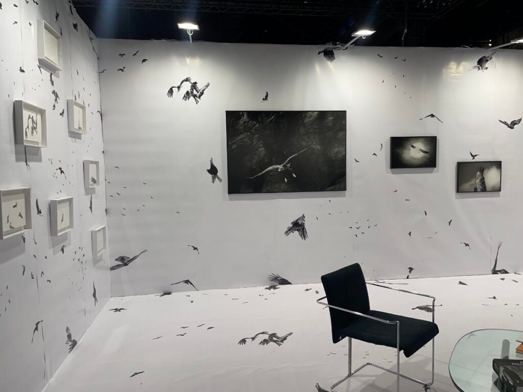 6 galleria umberto benappi di torino the phair torino foto claudia giraud 1200x900 1 I migliori stand della fiera di fotografia The Phair 2025 a Torino