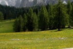 Nasce una rete culturale in Langhe, Roero e Monferrato. I percorsi d’arte contemporanea si uniscono con Orma