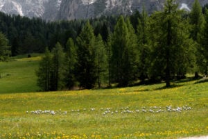 Nasce una rete culturale in Langhe, Roero e Monferrato. I percorsi d’arte contemporanea si uniscono con Orma