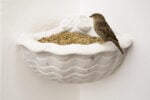 Alex Urso, Tutto il peso del Cielo, Installation View, Narni