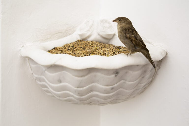 Alex Urso, Tutto il peso del Cielo, Installation View, Narni