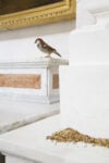 Alex Urso, Tutto il peso del Cielo, Installation View, Narni
