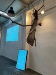 8 - Collettivo Gentili - Palmisano - Installazione Un giorno di guerra - 2025 Museo Nuova Era