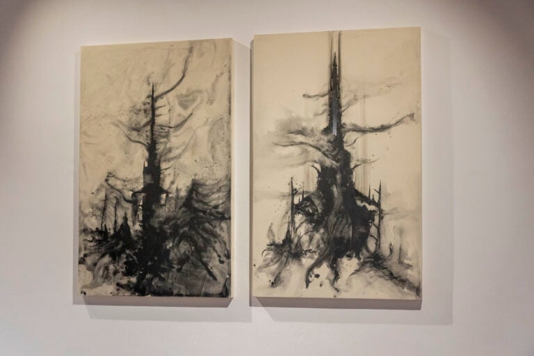 Jacopo Pannocchia.Di nebbia e di terra.(C) Massimo Zanconi