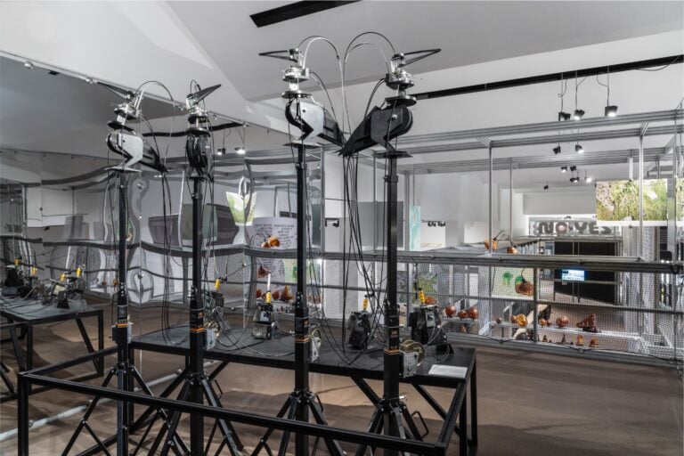 A Journey Into Biodiversity. Eight Forays on Planet Earth Pievani ©Alessandro Saletta e Agnese Bedini - DSL Studio