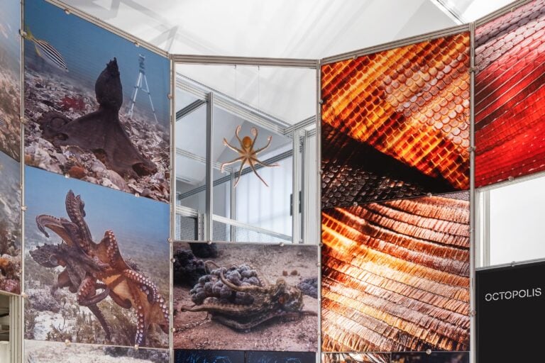 A Journey Into Biodiversity. Eight Forays on Planet Earth Pievani ©Alessandro Saletta e Agnese Bedini - DSL Studio