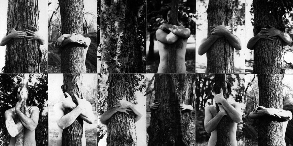 Alan Sonfist – Seeds of Time