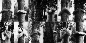 Alan Sonfist - Seeds of Time