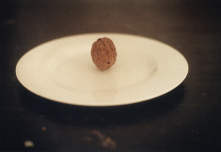 Alessandra Spranzi, Noce in equilibrio su piatto bianco (Esercizi), 2023. Courtesy P420