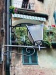 Assistere il buio. Alice Cattaneo