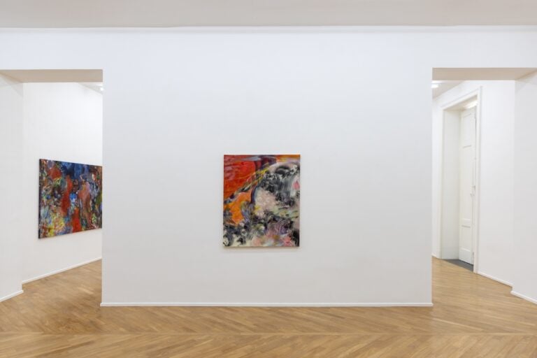 Ana Manso, dragon vein, Installation View © Danilo Donzelli Photography