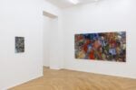 Ana Manso, dragon vein, Installation View © Danilo Donzelli Photography