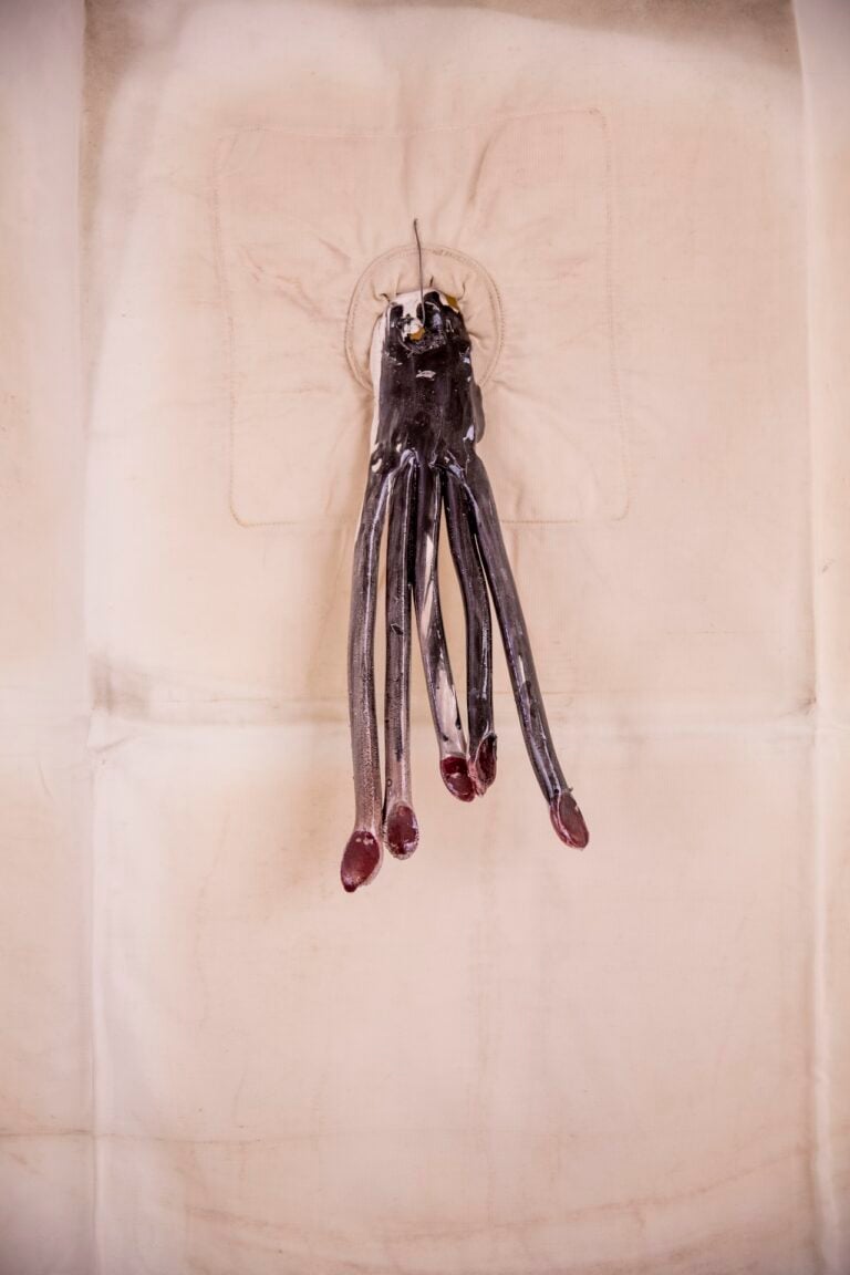 Antonio Marras, Vedere per credere, installation view at Forte Malatesta, Ascoli Piceno, 2025. Photo Ignacio Maria Coccia
