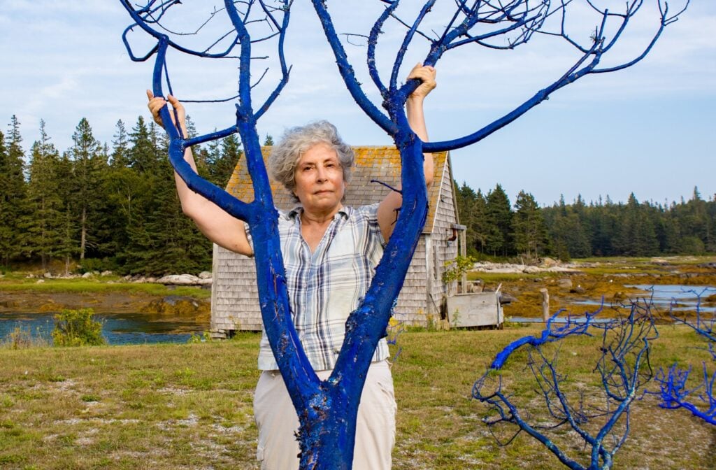 La forza ecologica dell’arte contemporanea. Intervista all’artista Aviva Rahmani