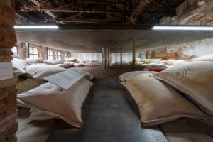 Il successo del Regno del Bahrain che vince alla Biennale Architettura 2025