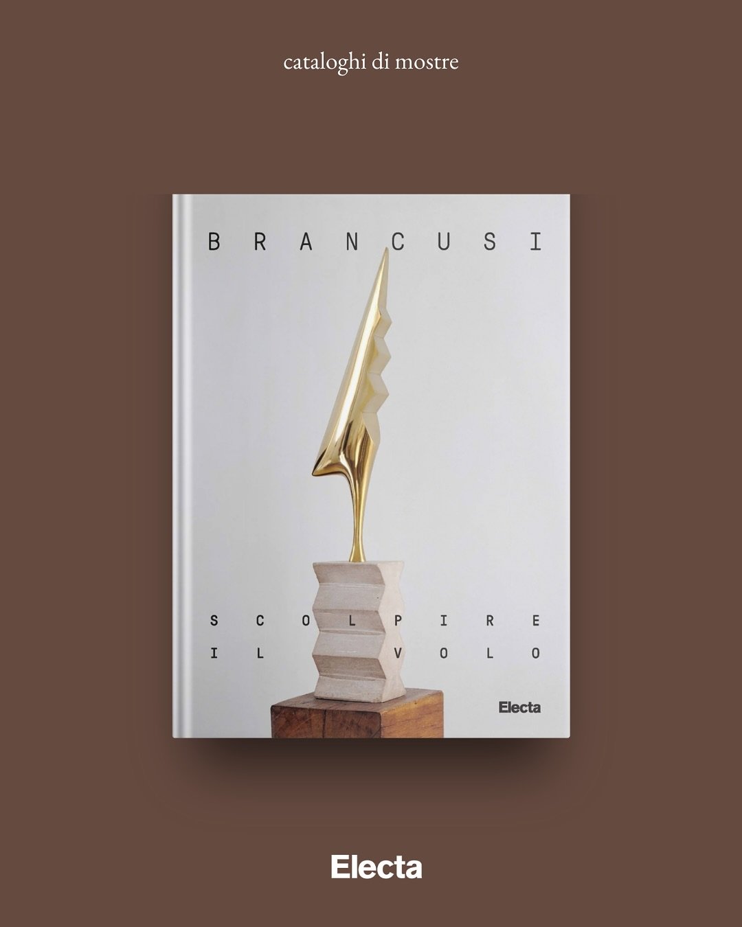 Brancusi. Scolpire il volo, a cura di Alfonsina Russo, Philippe-Alain Michaud, Maria Laura Cavaliere, Daniele Fortuna