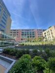 campus deloitte1 A Milano apre una galleria d’arte in una grande chiesa sconsacrata