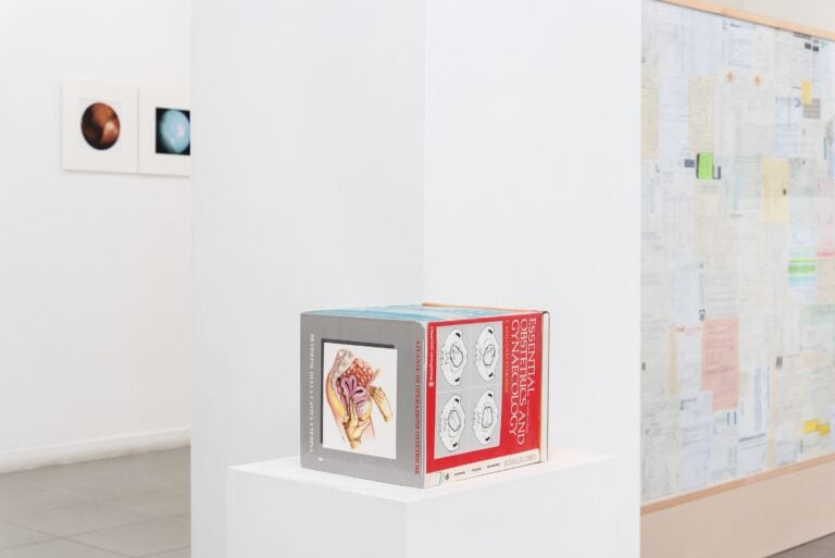 Cesare Pietroiusti, Materia paterna, installation view at The Gallery Apart, Roma, 2025. Photo Eleonora Cerri Pecorella