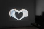Cesare Pietroiusti, Materia paterna, installation view at The Gallery Apart, Roma, 2025. Photo Eleonora Cerri Pecorella