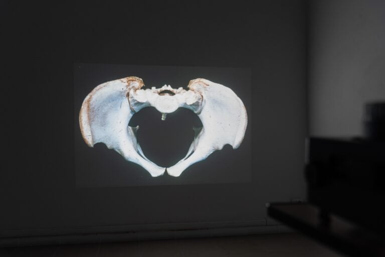 Cesare Pietroiusti, Materia paterna, installation view at The Gallery Apart, Roma, 2025. Photo Eleonora Cerri Pecorella