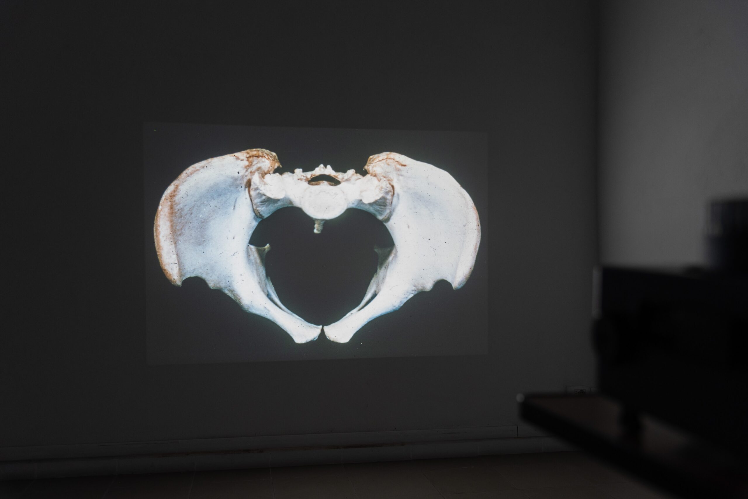 Cesare Pietroiusti, Materia paterna, installation view at The Gallery Apart, Roma, 2025. Photo Eleonora Cerri Pecorella