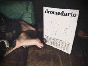 Nasce “dromedario”: la nuova rivista dedicata alle arti contemporanee. Ma senza immagini