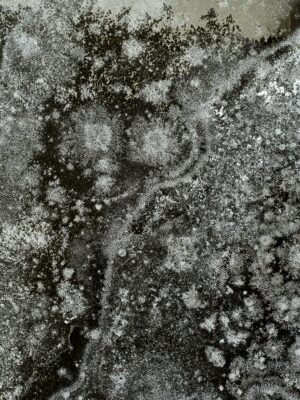 Joan Fontcuberta - Celestial Stories