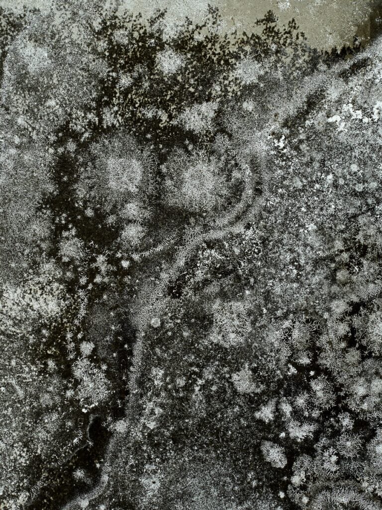 Joan Fontcuberta – Celestial Stories